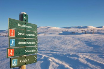  Mange muligheter. La vær og vind bestemme. 