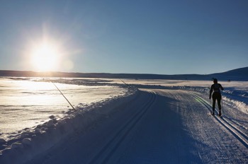  Fra Budalsvannet går det slakt opp mot Prestholtseter. 