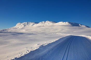  Hallingskarvet og Prestoltseter 