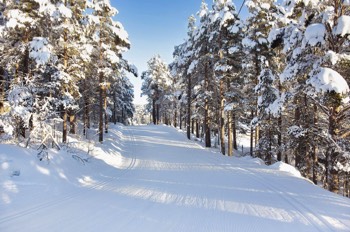  Geilo Skistadion 