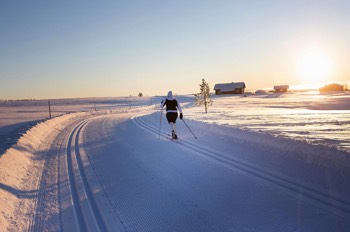  Geilo har et enormt løypenett på 550 km. 