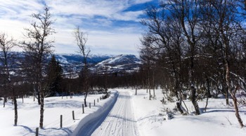  Seterveien ønsker deg velkommen. 